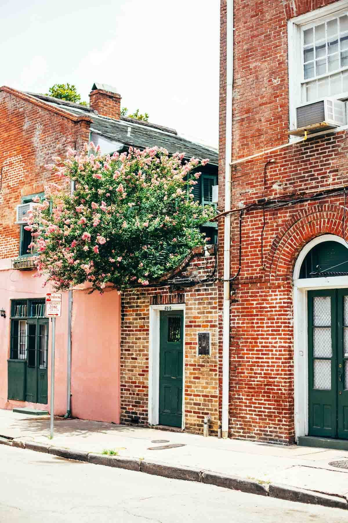New Orleans | pinchofyum.com New Orleans | pinchofyum.com