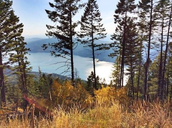 A lake with trees in Montana.