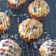 A picture of Cornmeal Blueberry Muffins